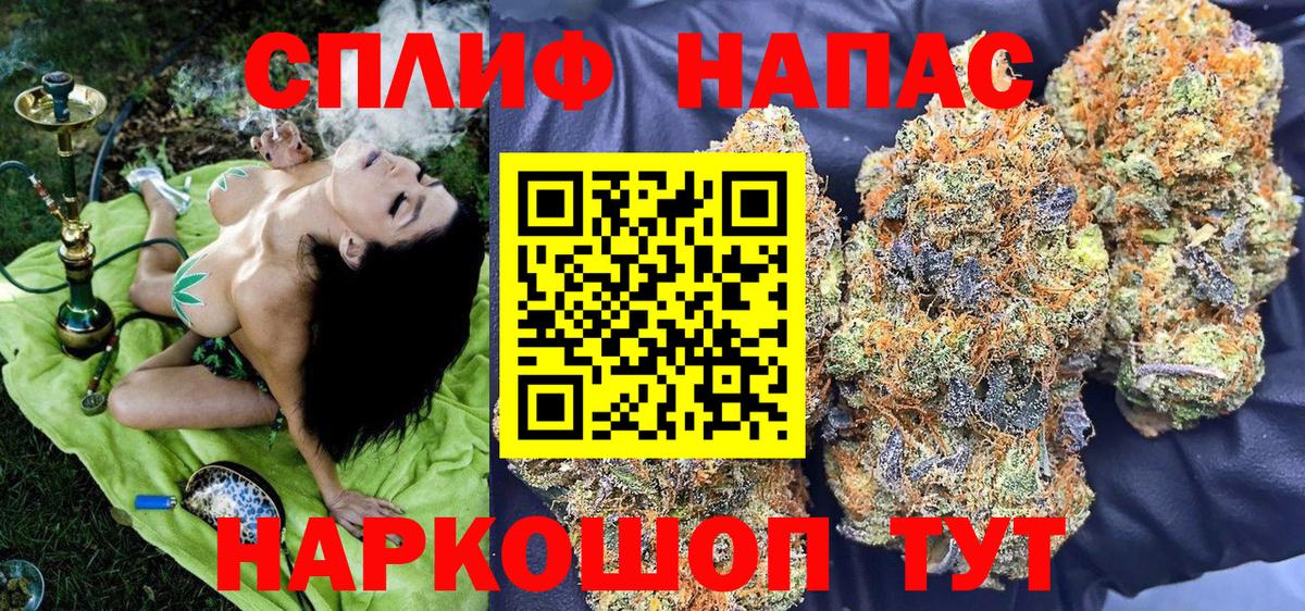 Канабис конопля Каменка